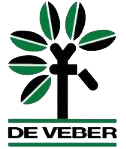 deVeber Institute Logo